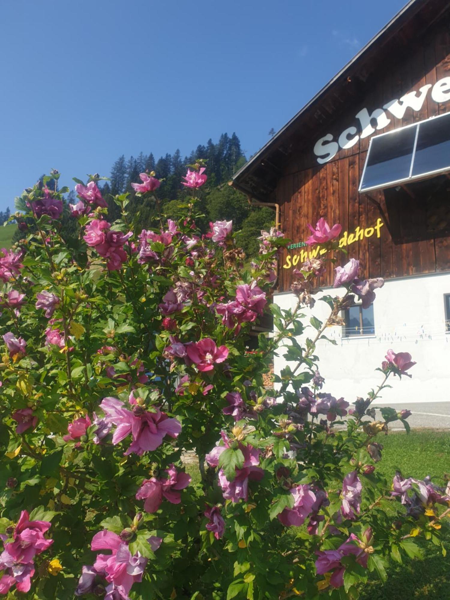 Ferienhaus Schwendehof Fontanella Zewnętrze zdjęcie